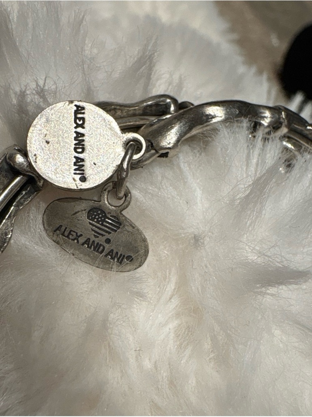 Alex and Ani Silver Oval Logo Charm Bracelet